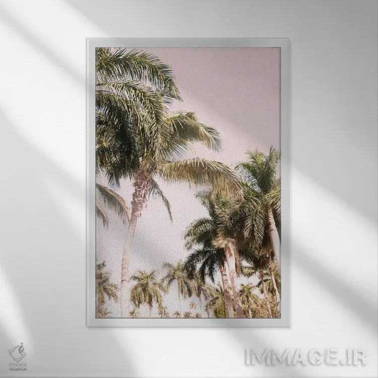 تابلو حس نخل فلوریدا II اثر هنر آنیتا و بلا - نمای قابدار سفید