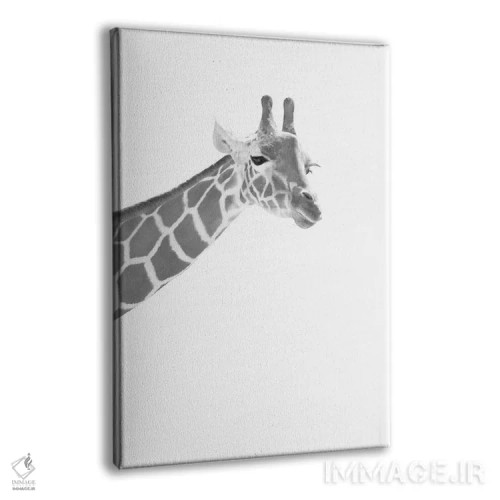 تابلو زرافه سیاه و سفید رویایی I اثر هنر آنیتا و بلا - نمای پرسپکتیو محصول