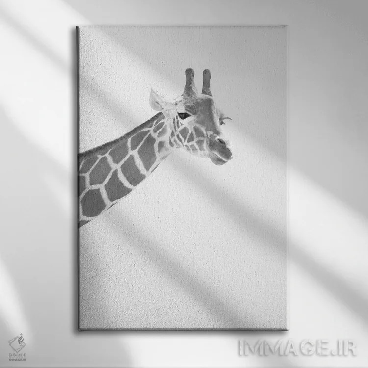 تابلو زرافه سیاه و سفید رویایی I اثر هنر آنیتا و بلا - نمای روبهرو روی دیوار