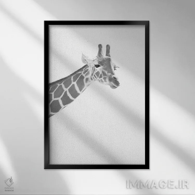 تابلو زرافه سیاه و سفید رویایی I اثر هنر آنیتا و بلا - نمای قابدار مشکی