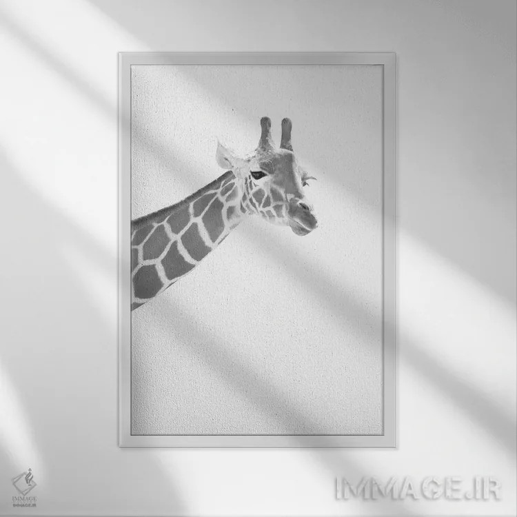 تابلو زرافه سیاه و سفید رویایی I اثر هنر آنیتا و بلا - نمای قابدار سفید