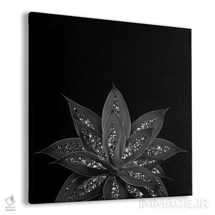 تابلو آگاو خاکستری-سیاه با درخشش سیاه و نقرهای II اثر هنر آنیتا و بلا - نمای پرسپکتیو محصول