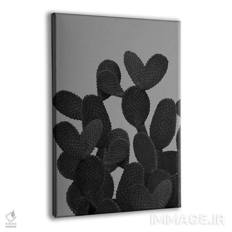 تابلو کاکتوس خاکستری-سیاه I اثر هنر آنیتا و بلا - نمای پرسپکتیو محصول