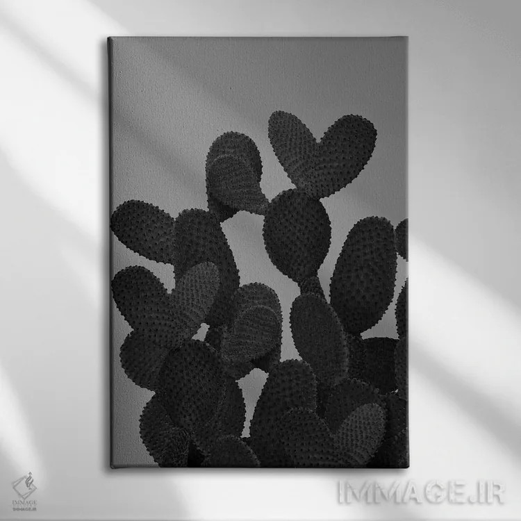 تابلو کاکتوس خاکستری-سیاه I اثر هنر آنیتا و بلا - نمای روبهرو روی دیوار