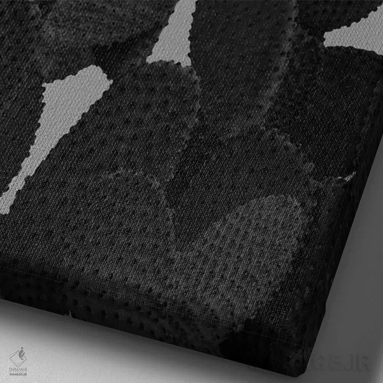 تابلو کاکتوس خاکستری-سیاه I اثر هنر آنیتا و بلا - نمای نزدیک بافت بوم