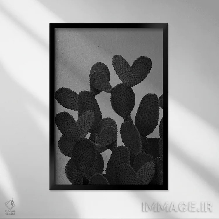 تابلو کاکتوس خاکستری-سیاه I اثر هنر آنیتا و بلا - نمای قابدار مشکی