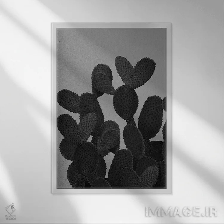 تابلو کاکتوس خاکستری-سیاه I اثر هنر آنیتا و بلا - نمای قابدار سفید