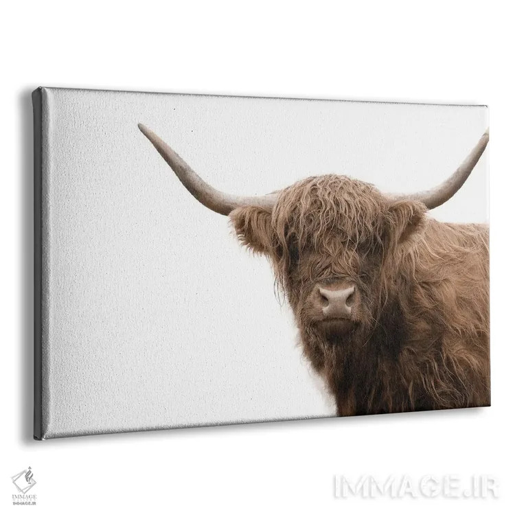 تابلو گاو کوهستانی V اثر هنر آنیتا و بلا - نمای پرسپکتیو محصول