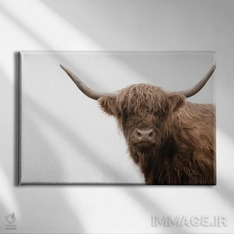 تابلو گاو کوهستانی V اثر هنر آنیتا و بلا - نمای روبهرو روی دیوار