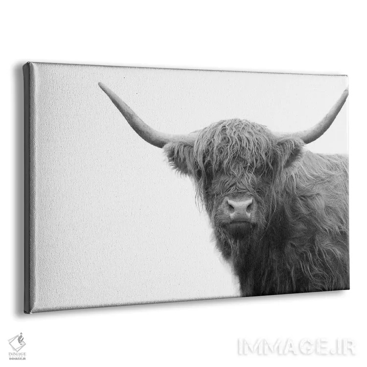 تابلو گاو کوهستانی سیاه و سفید IV اثر هنر آنیتا و بلا - نمای پرسپکتیو محصول