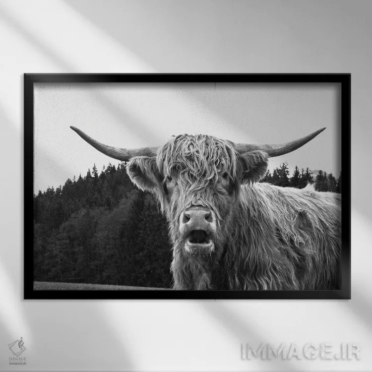 تابلو گاو کوهستانی سیاه و سفید I اثر هنر آنیتا و بلا - نمای قابدار مشکی