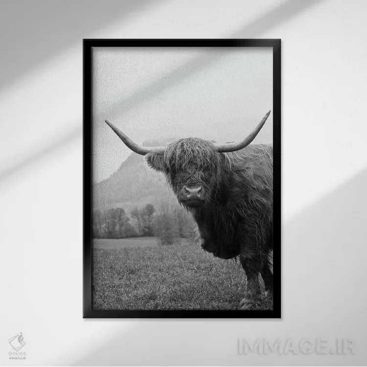 تابلو گاو کوهستانی سیاه و سفید II اثر هنر آنیتا و بلا - نمای قابدار مشکی