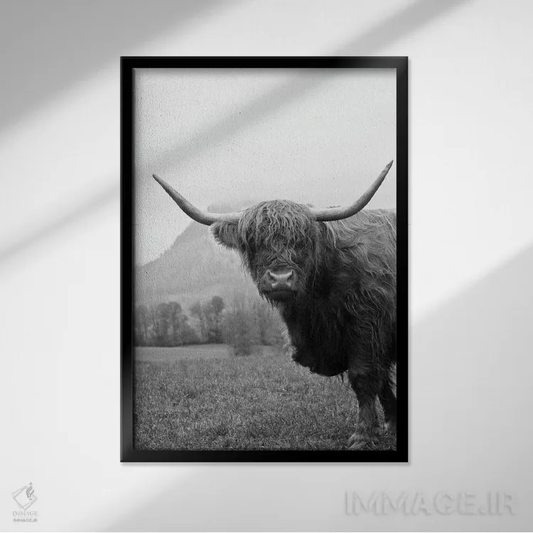 تابلو گاو کوهستانی سیاه و سفید II اثر هنر آنیتا و بلا - نمای قابدار مشکی
