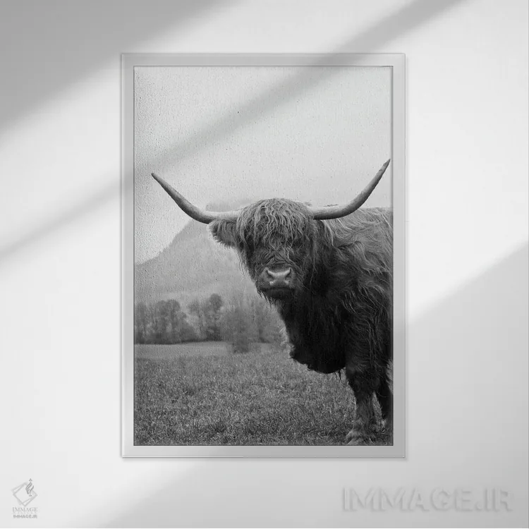 تابلو گاو کوهستانی سیاه و سفید II اثر هنر آنیتا و بلا - نمای قابدار سفید