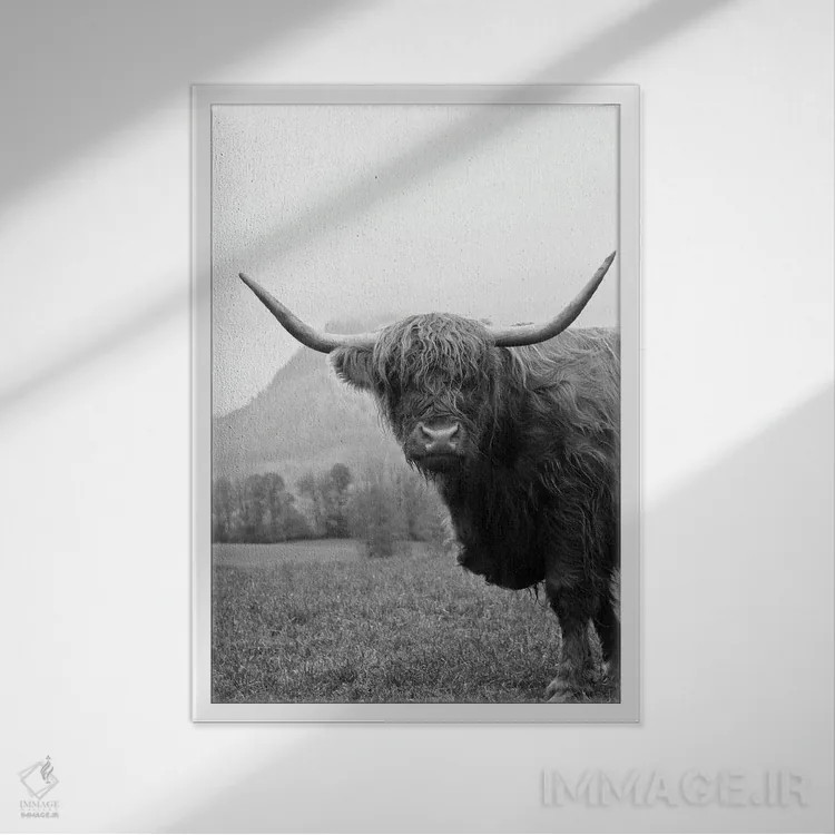 تابلو گاو کوهستانی سیاه و سفید II اثر هنر آنیتا و بلا - نمای قابدار سفید