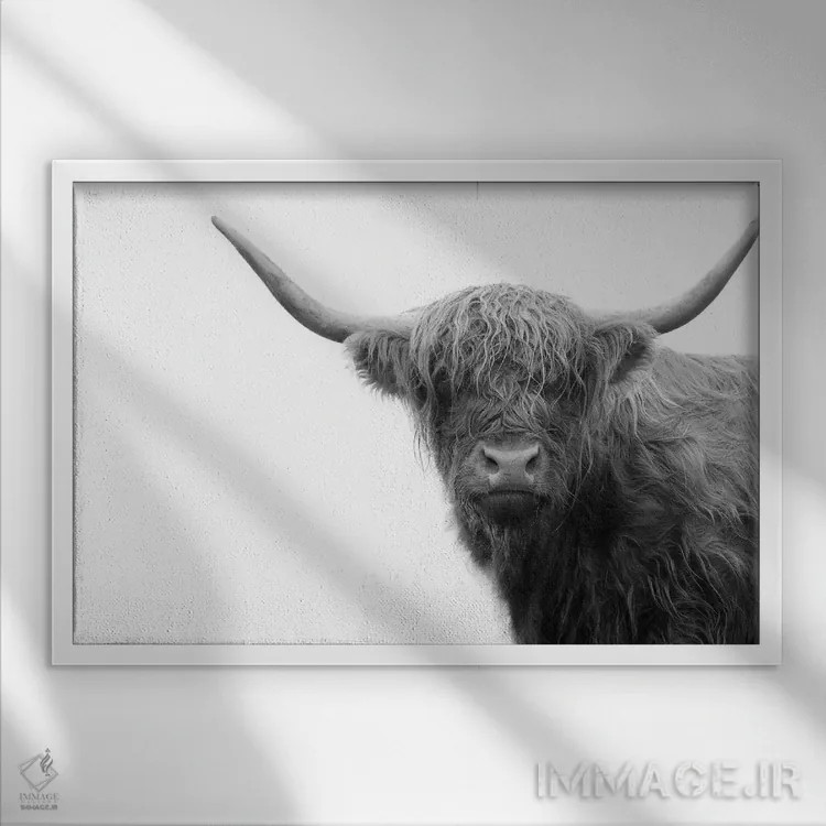 تابلو گاو کوهستانی سیاه و سفید IV اثر هنر آنیتا و بلا - نمای قابدار سفید