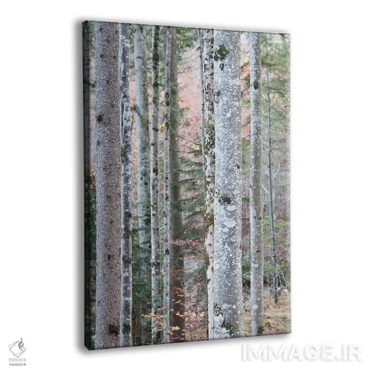 تابلو در جنگل I اثر هنر آنیتا و بلا - نمای پرسپکتیو محصول