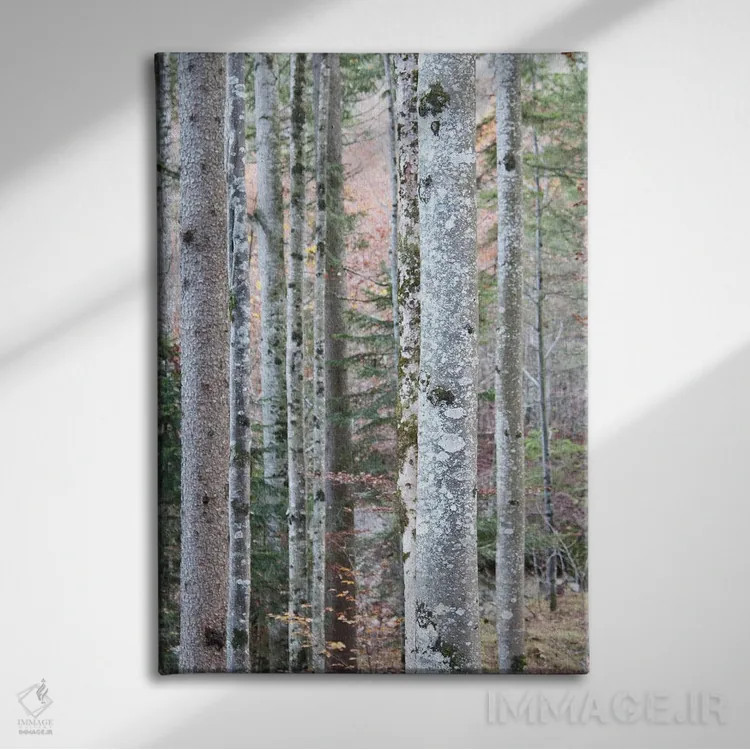 تابلو در جنگل I اثر هنر آنیتا و بلا - نمای روبهرو روی دیوار