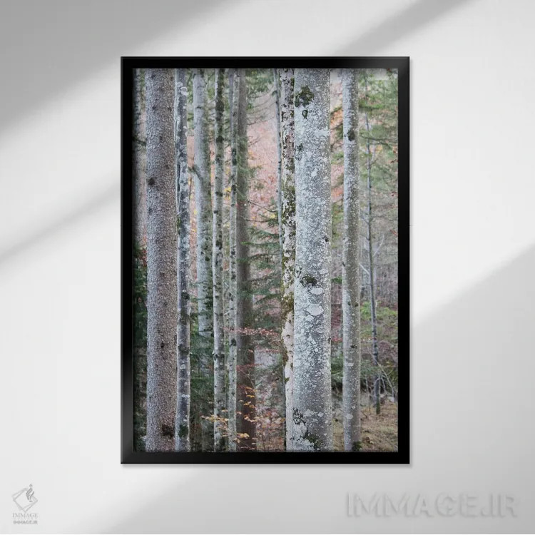 تابلو در جنگل I اثر هنر آنیتا و بلا - نمای قابدار مشکی