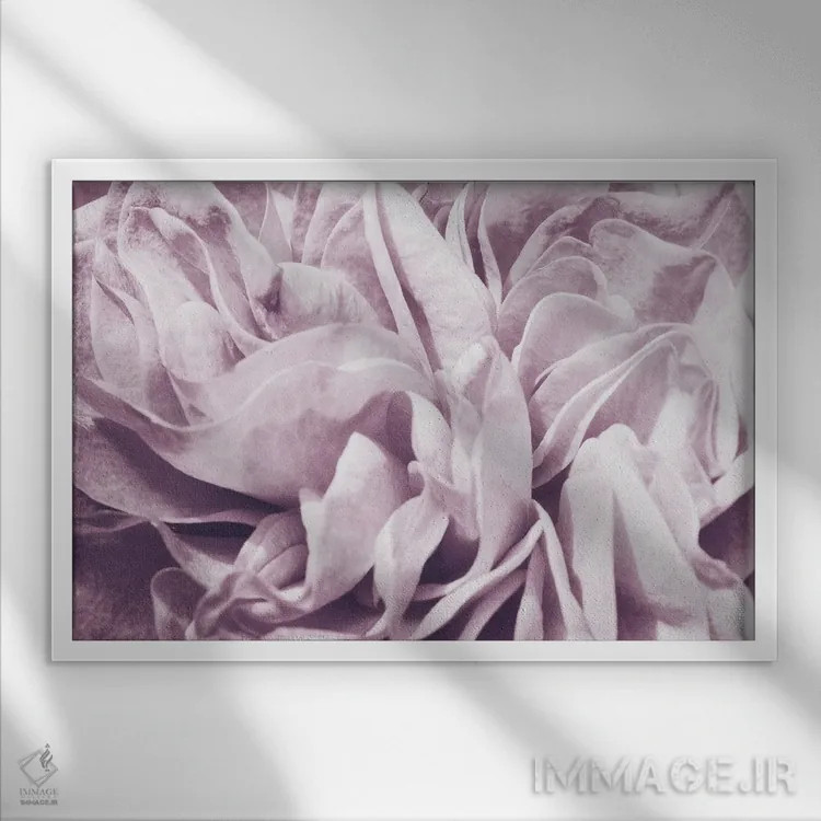 تابلو رویای بنفش روشن I اثر هنر آنیتا و بلا - نمای قابدار سفید