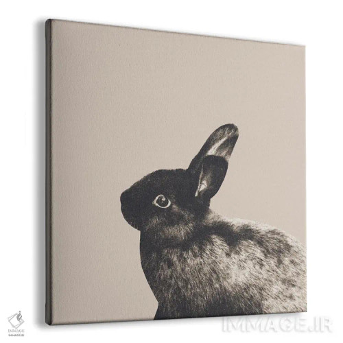 تابلو خرگوش کوچک روی بژ روشن I اثر هنر آنیتا و بلا - نمای پرسپکتیو محصول