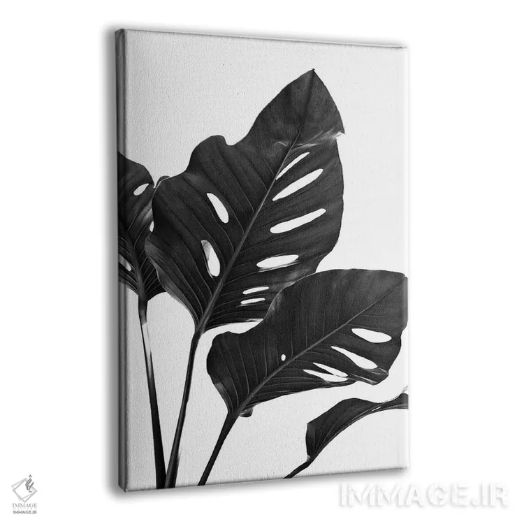 تابلو مانسترا با حس سیاه و سفید I اثر هنر آنیتا و بلا - نمای پرسپکتیو محصول