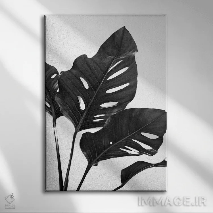تابلو مانسترا با حس سیاه و سفید I اثر هنر آنیتا و بلا - نمای روبهرو روی دیوار