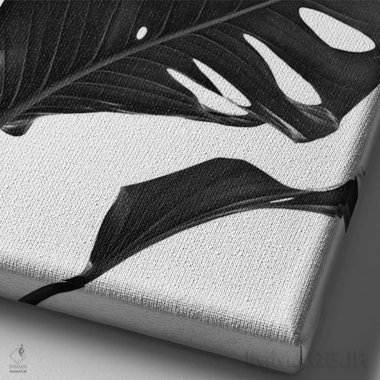 تابلو مانسترا با حس سیاه و سفید I اثر هنر آنیتا و بلا - نمای نزدیک بافت بوم