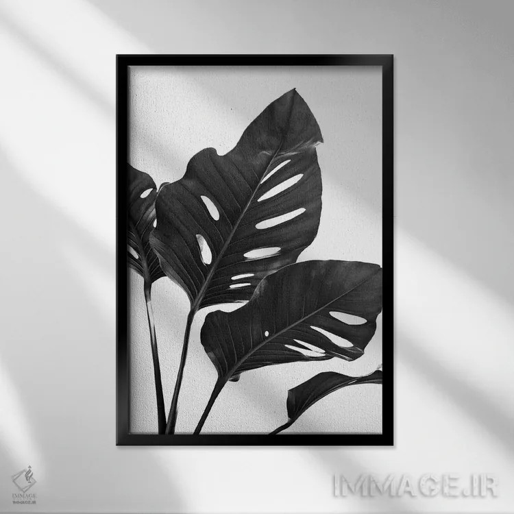 تابلو مانسترا با حس سیاه و سفید I اثر هنر آنیتا و بلا - نمای قابدار مشکی