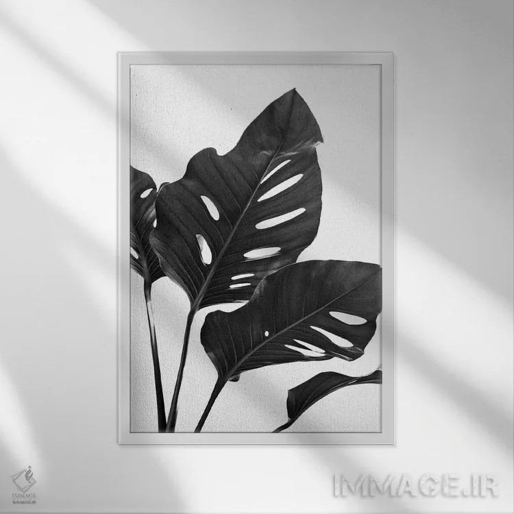 تابلو مانسترا با حس سیاه و سفید I اثر هنر آنیتا و بلا - نمای قابدار سفید