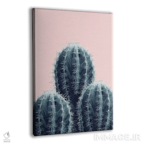 تابلو عشق کاکتوس با حس سرمهای و صورتی I اثر هنر آنیتا و بلا - نمای پرسپکتیو محصول