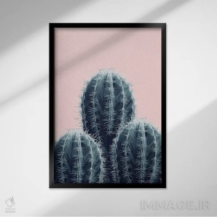 تابلو عشق کاکتوس با حس سرمهای و صورتی I اثر هنر آنیتا و بلا - نمای قابدار مشکی
