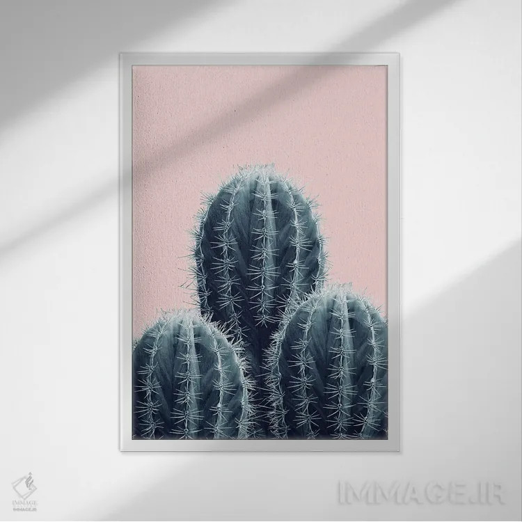 تابلو عشق کاکتوس با حس سرمهای و صورتی I اثر هنر آنیتا و بلا - نمای قابدار سفید