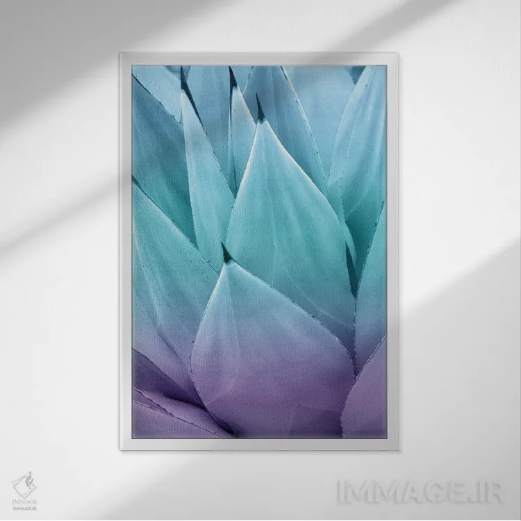 تابلو حس آگاو I اثر هنر آنیتا و بلا - نمای قابدار سفید