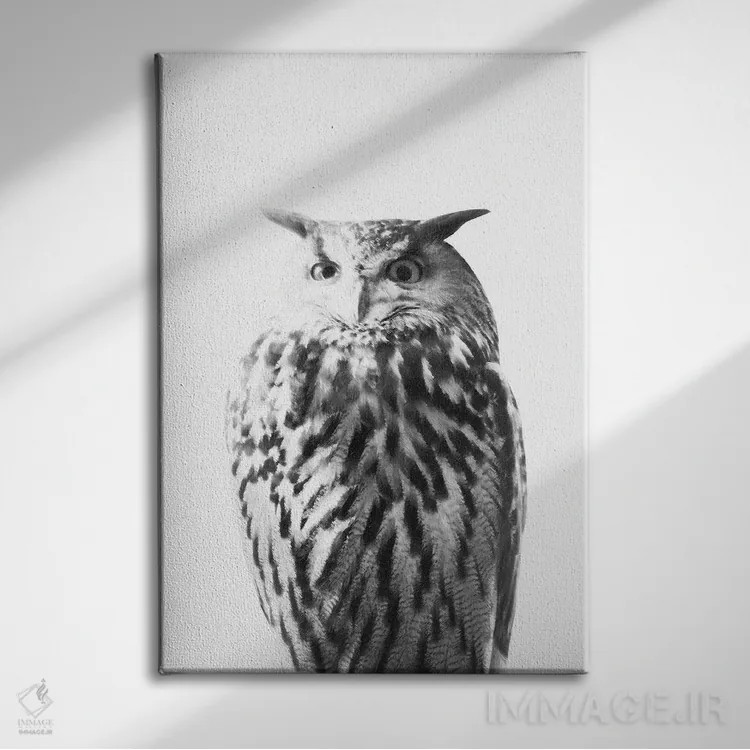 تابلو جغد روی سفید I اثر هنر آنیتا و بلا - نمای روبهرو روی دیوار