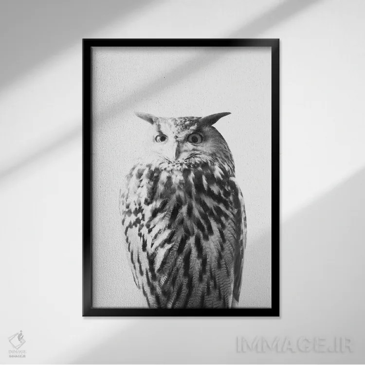 تابلو جغد روی سفید I اثر هنر آنیتا و بلا - نمای قابدار مشکی