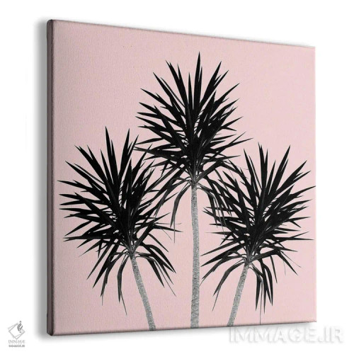 تابلو نخلهای کالیفرنیا با حس تابستانی III اثر هنر آنیتا و بلا - نمای پرسپکتیو محصول