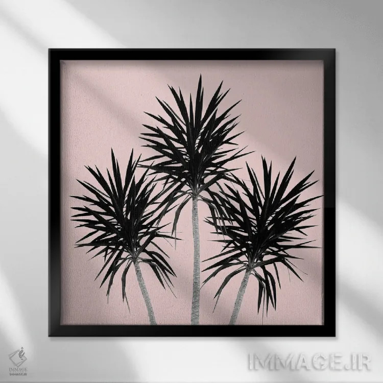 تابلو نخلهای کالیفرنیا با حس تابستانی III اثر هنر آنیتا و بلا - نمای قابدار مشکی