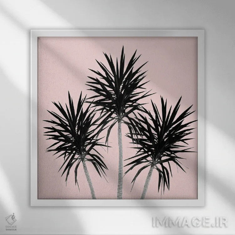 تابلو نخلهای کالیفرنیا با حس تابستانی III اثر هنر آنیتا و بلا - نمای قابدار سفید