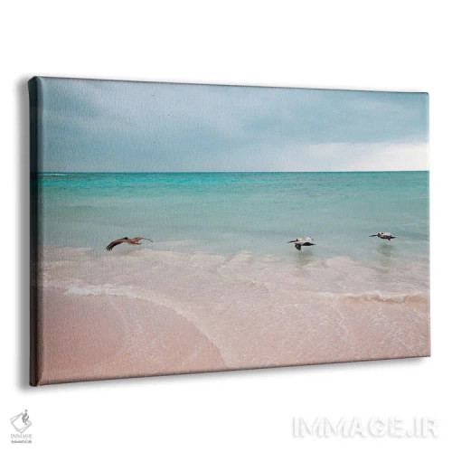 تابلو سهتایی پلیکان؛ رویای کارائیب I اثر هنر آنیتا و بلا - نمای پرسپکتیو محصول