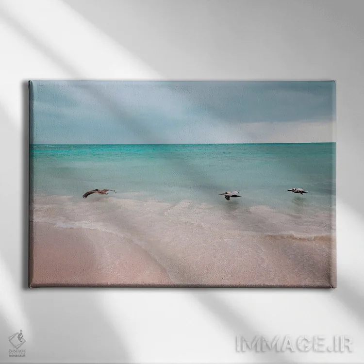 تابلو سهتایی پلیکان؛ رویای کارائیب I اثر هنر آنیتا و بلا - نمای روبهرو روی دیوار