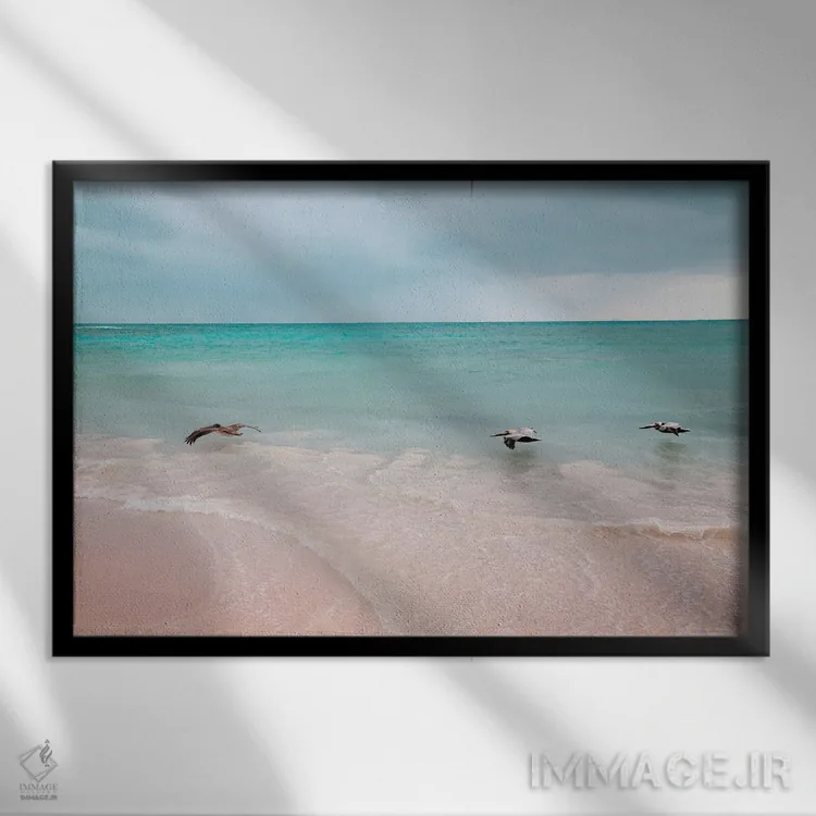 تابلو سهتایی پلیکان؛ رویای کارائیب I اثر هنر آنیتا و بلا - نمای قابدار مشکی