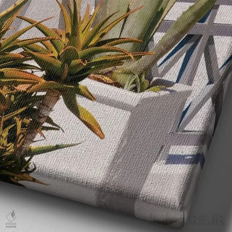 تابلو رویای آگاو سانتورینی I اثر هنر آنیتا و بلا - نمای نزدیک بافت بوم