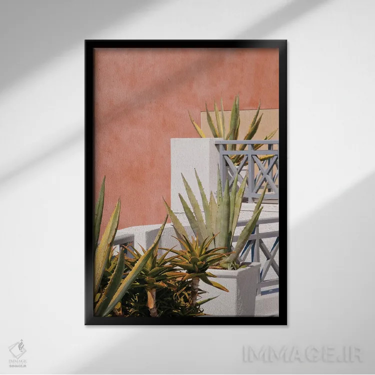 تابلو رویای آگاو سانتورینی I اثر هنر آنیتا و بلا - نمای قابدار مشکی