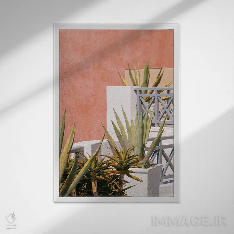 تابلو رویای آگاو سانتورینی I اثر هنر آنیتا و بلا - نمای قابدار سفید