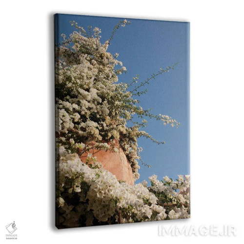 تابلو رویای زیبایی اویای سانتورینی II (محلهای در سانتورینی) اثر هنر آنیتا و بلا - نمای پرسپکتیو محصول