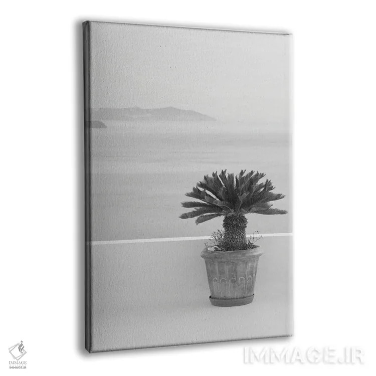 تابلو رویای ذن سانتورینی سیاه و سفید I اثر هنر آنیتا و بلا - نمای پرسپکتیو محصول