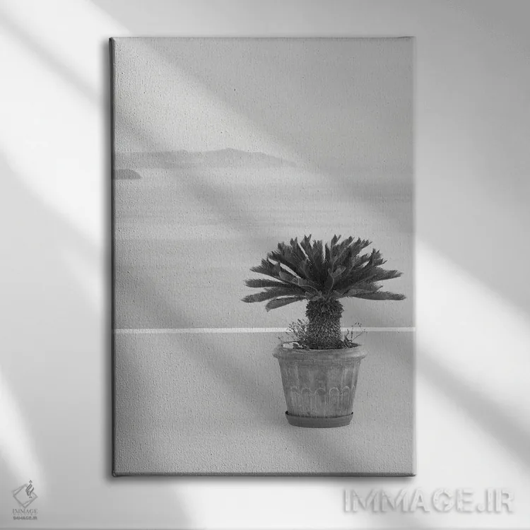 تابلو رویای ذن سانتورینی سیاه و سفید I اثر هنر آنیتا و بلا - نمای روبهرو روی دیوار