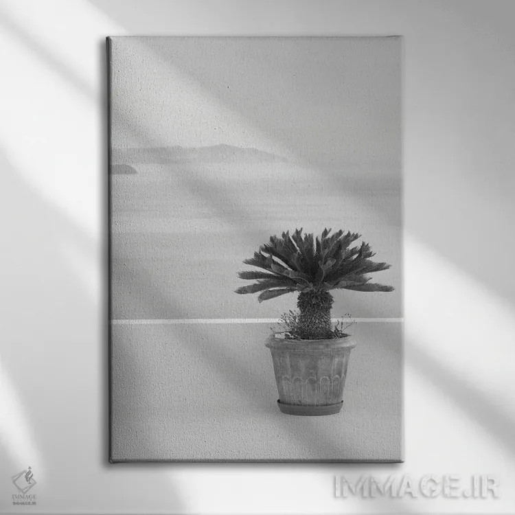 تابلو رویای ذن سانتورینی سیاه و سفید I اثر هنر آنیتا و بلا - نمای روبهرو روی دیوار