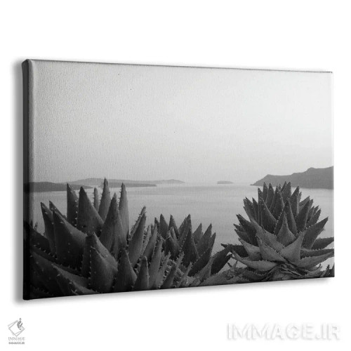 تابلو رویای ذن سانتورینی سیاه و سفید II اثر هنر آنیتا و بلا - نمای پرسپکتیو محصول